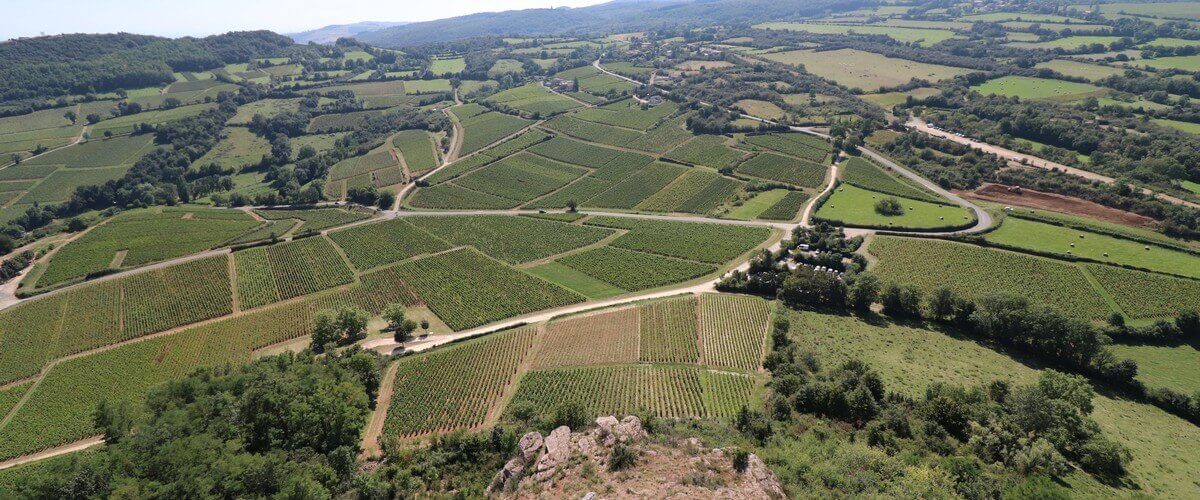  Le cœur mythique de la Bourgogne : ma passion pour un vignoble unique 