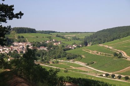 Wine Tour Corton Charlemagne, Pernand Vergelesses en jeep