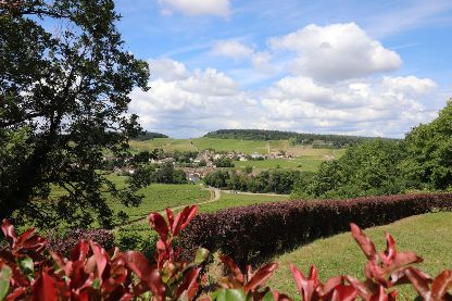 Vignoble de Mercurey en Bourgogne